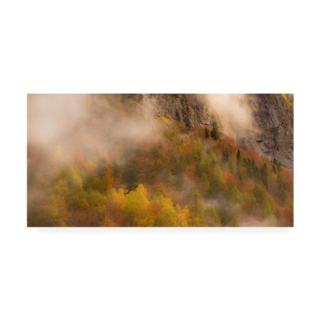 Trademark Fine Art Dan Ballard 'Foliage Fog' Canvas Art, 10x19 ALI45714-C1019GG